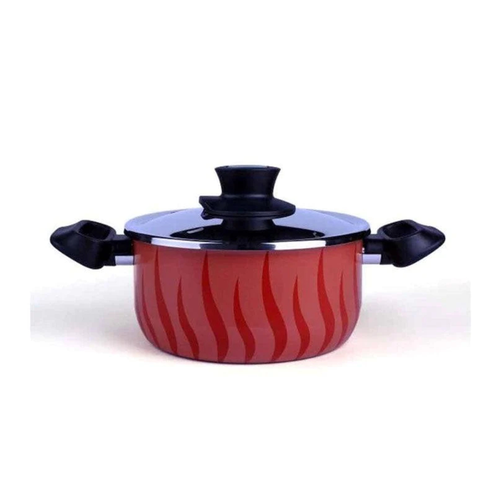 Tefal New Tempo  Flame - Dutch Oven 22 + SS LID, C5484583