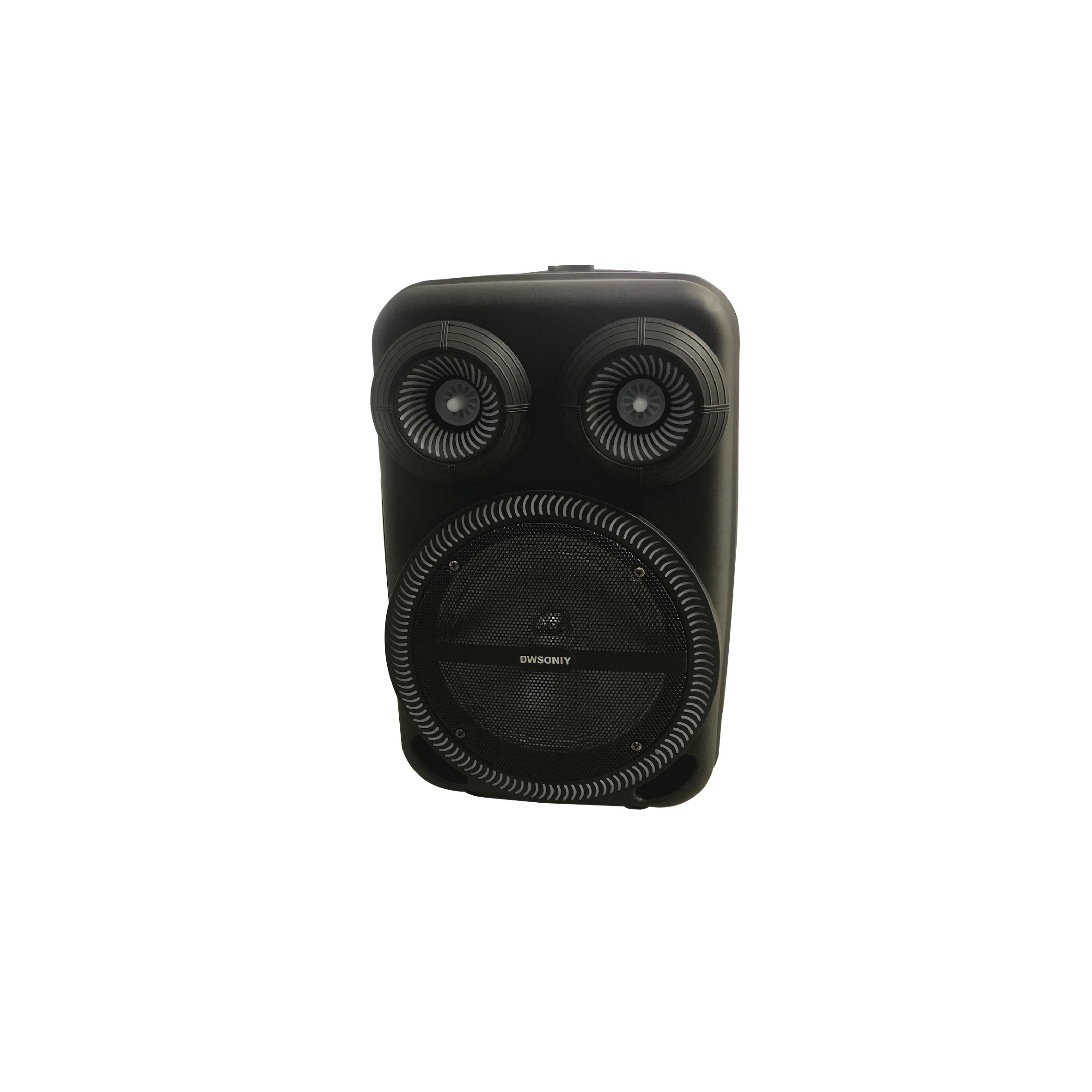 Dwsoniy Speaker 10-Inch, Built In USB, Aux, Mic Input, DC 5V, DW-1018
